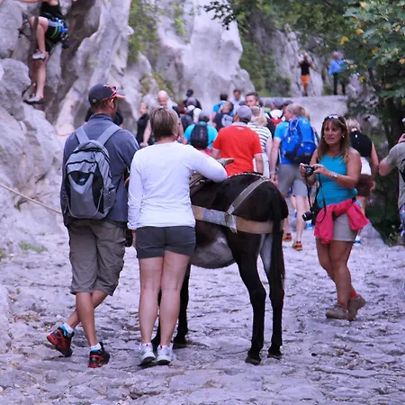 Rajna Guest house 2*