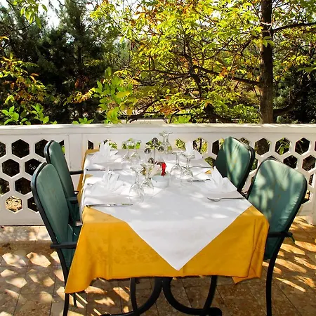 Rajna Guest house 2*