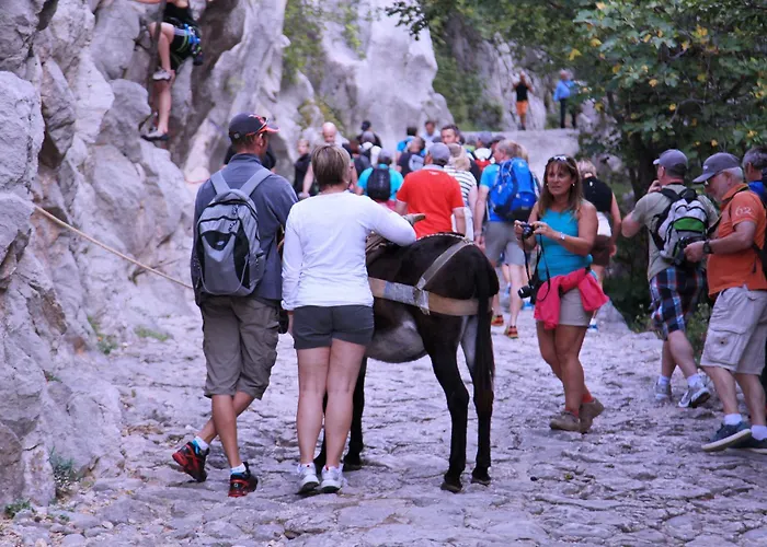 Rajna Гостевой дом 2*